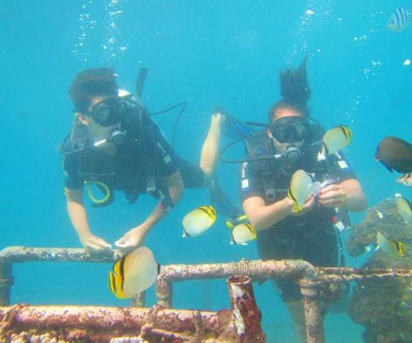 Galeri Paket (4) Galeri Paket (4)