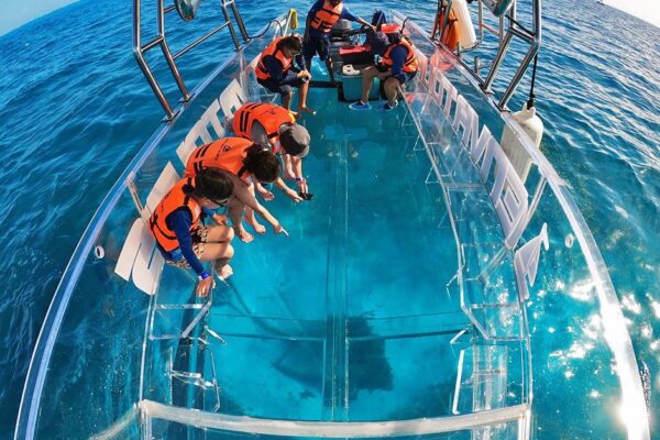 Glass Bottom Boat + Turtle Island (1)