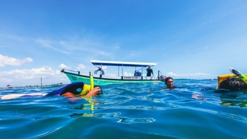 Glass Bottom Boat + Turtle Island (3)